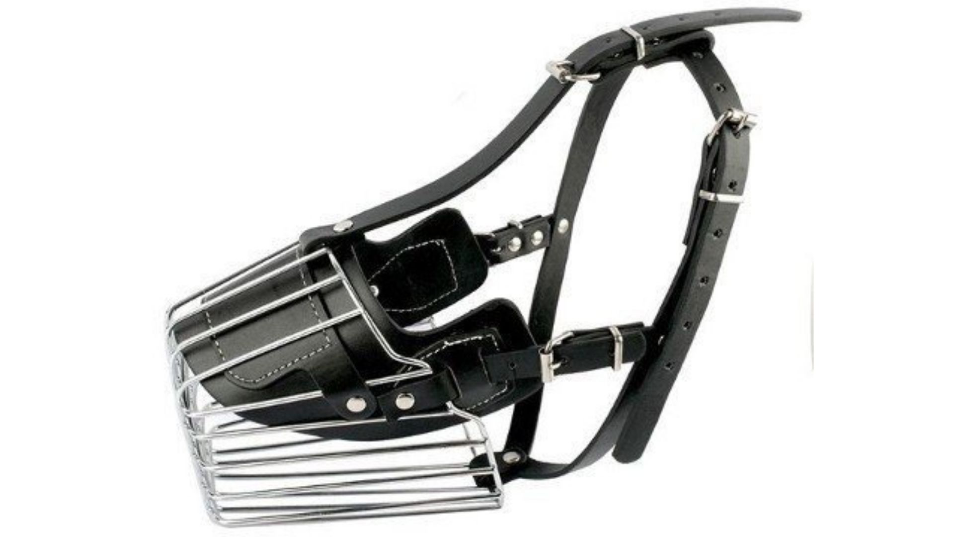 Köpek Çelik Ağızlık 